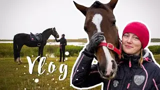 VLOG с конюшни :)