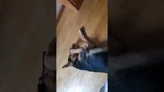 Сёма