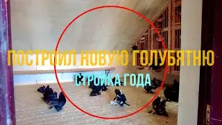 ПОСТРОИЛ НОВУЮ ГОЛУБЯТНЮ СТРОЙКА ГОДА
