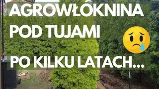 Agrowłóknina pod Tuje to Zło