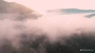 [