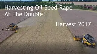 Harvest 2017 - Harvesting OSR With Two New Holland Combines