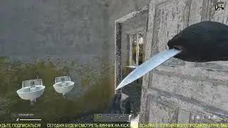 DayZ 👀!!!►ПРИКЛЮЧЕНИЯ!