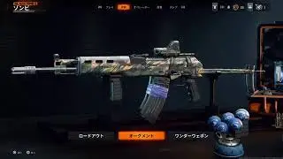 野良猫は眠らない♪ COD BO6 zombie