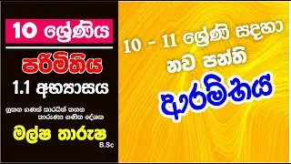 Grade 10 Maths  |  1 st lesson | පරිමිතිය අභ්‍යාසය 1.1 |  perimeter Activity 1.1