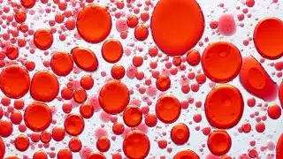 BLOOD DEFICIENCY, BLOOD STASIS, BLOOD HEAT, HEMORRHAGE IN TCM
