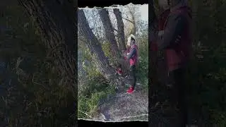Dimazhe сумує 