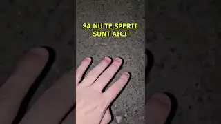 L-am gasit pe FROGGY !