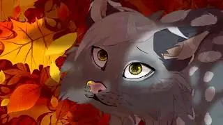Drumming Song Pt 16