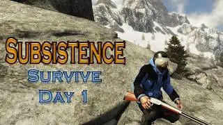 Survive your Day 1 - Subsistence (Beginner Guide) - Timestamps