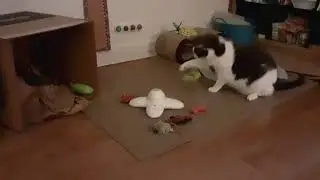 Remy and his Butterfly