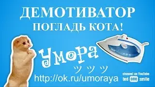 Демотиватор ПОГЛАДЬ КОТА