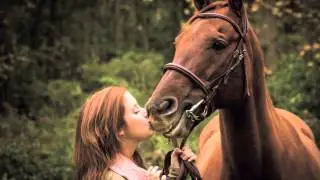 Equine Photographer Portfolio : Captured Gallop Photography
