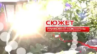 Музичний та фантастичний колектив «Сказки вдогонку»