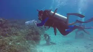 Short video