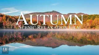 Autumn 4K Scenic Relaxation Film | 🍂 Fall Leaves with Ambient Calming Music