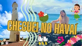 CHEGUEI NO HAVAÍ PELA PRIMEIRA VEZ - Niwiliwili