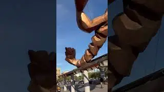 20 ноября 2023 г.