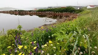 One Day In Port - Red Bay Labrador Canada