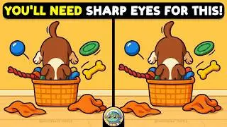 🐢🧩 Find 3 Differences | Your Daily Brain Workout 🧩🐢 | Quizonaut Turtle