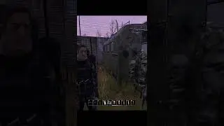 Dayz Stalker RP Perimeter Стажёр бункера #shorts