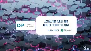 DÔMES PHARMA - Actualités sur le CBD pour le chien et le chat