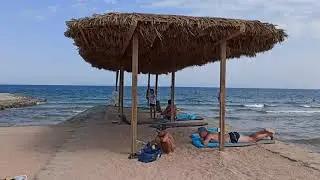 Фото зона / искусственный водоем с мостиками / африканские косички.
