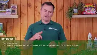 Школа ОЖЗ: У нас на растениях нет фитофторы. Высадка томатов в открытый грунт, защита от вредителей