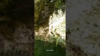 Parque Ecoturístico Cenote Xcajum, Dnizas