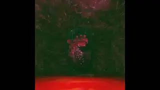 Juneji x sNINEr -  HEART REVEAL