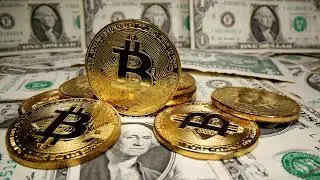 5 key ways to manage a crypto down cycle -  Part 5