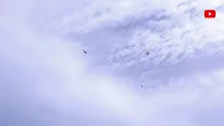 Pakistan Day Rehearsal 20-March-2021 Helicopters Squad in Islamabad | Pakistan Air Force