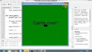 Turtle snake game() 2of2