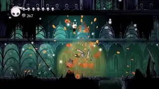 Hollow knight
