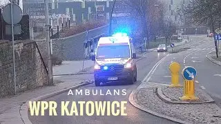 Mercedes-Benz Sprinter 419 CDI/AutoForm 