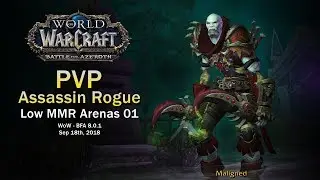 WoW Assassin Rogue Low MMR arenas 01