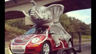 Cursed Car Images With Minecraft Cave Sounds.