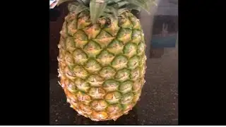 Don't cut into another pineapple until you see this video @dinovalbone. A how to grow your own.