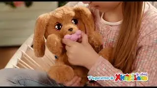 Интерактивните бебета - любимци Baby Paws ! От Хиполенд!