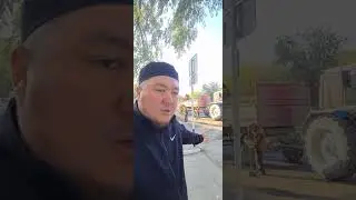 Актобе убивают деревья ⚘️