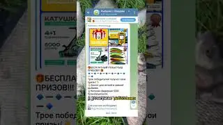 Лучшая насадка в Августе и Сентябре!! #лещнафидер #рыбалка