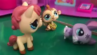 Lps Adoption Center Part 4
