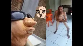 TENTE NÃO RIR Os videos mais engraçados do Whatsapp 2017#10