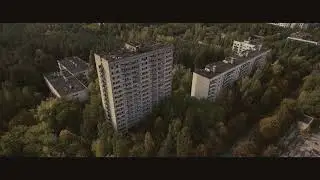 FilmImpact Transition test