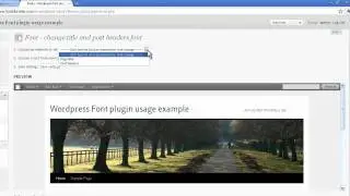 How to change wordpress title, post headers fonts or any selection fonts?