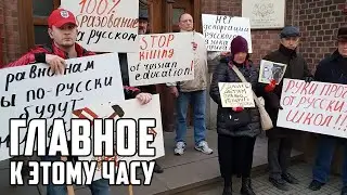 Леопард Папы римского / Оборудование для микрочипов / Цифровой паспорт