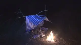 ตั้งแคมป์ในดงหญ้ารกร้าง ตามหาแหล่งโปรตีนจากธรรมชาติรอบข้าง [ งัดวัง Fishing For Catfish ]