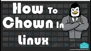 How To Chown A Directory in Linux - SavageCamp