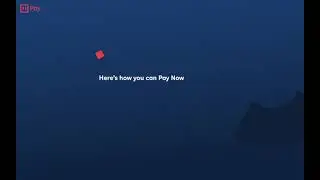 Paying now with iwocaPay