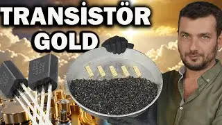 TRANSISTORS GOLDEN PARADISE